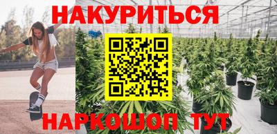 кокс Кингисепп