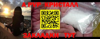 кокс Кингисепп