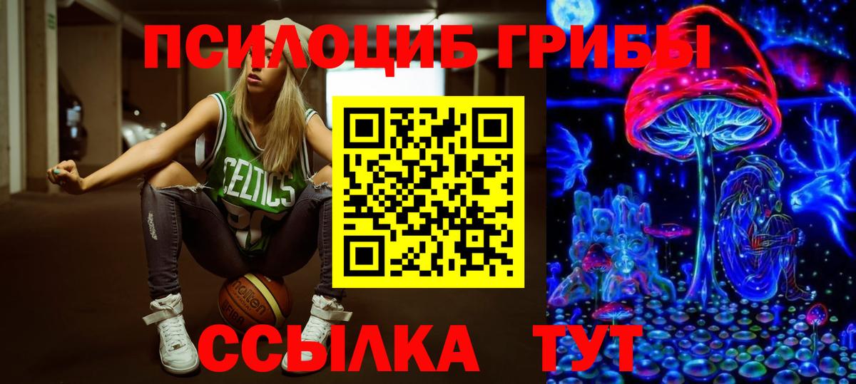 Псилоцибиновые грибы MAGIC MUSHROOMS Фрязино