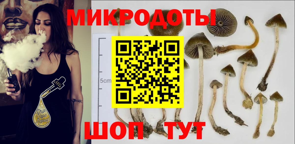 Псилоцибиновые грибы MAGIC MUSHROOMS  продажа наркотиков  Фрязино  Псилоцибиновые грибы Psilocybe 