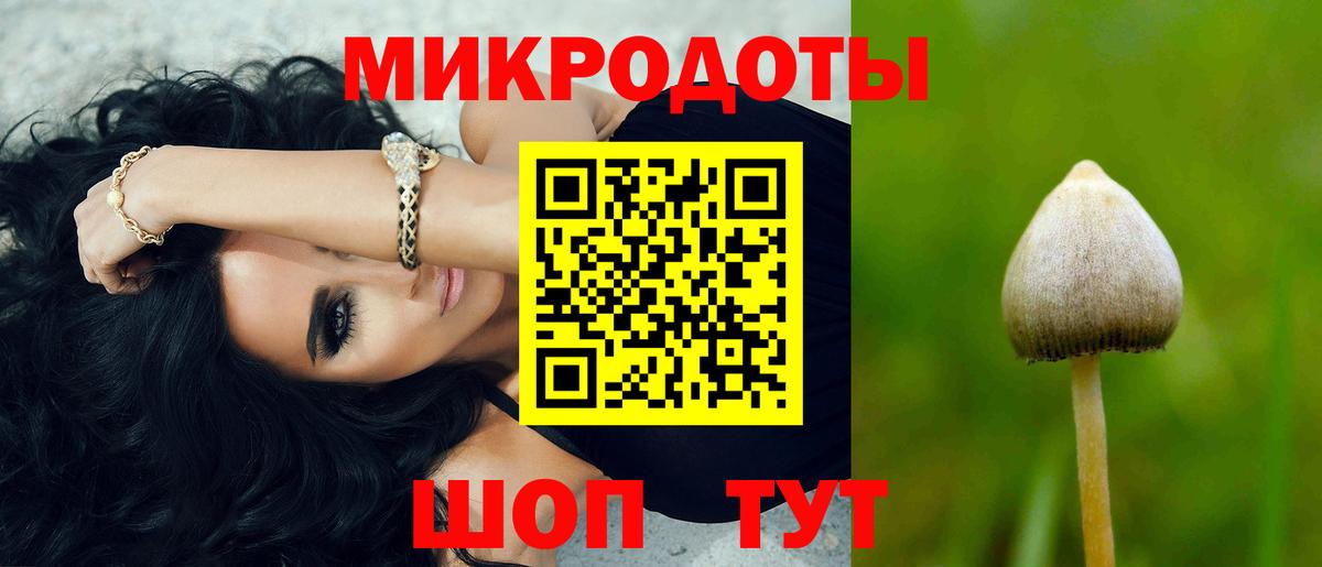 Галлюциногенные грибы Magic Shrooms  где можно купить   Галлюциногенные грибы Magic Shrooms  Фрязино  Вход с VPN 