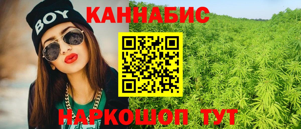 Конопля сатива Фрязино
